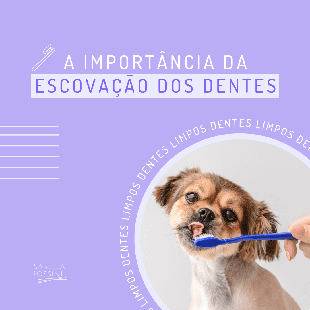 A importância da escovação dos dentes dos cães