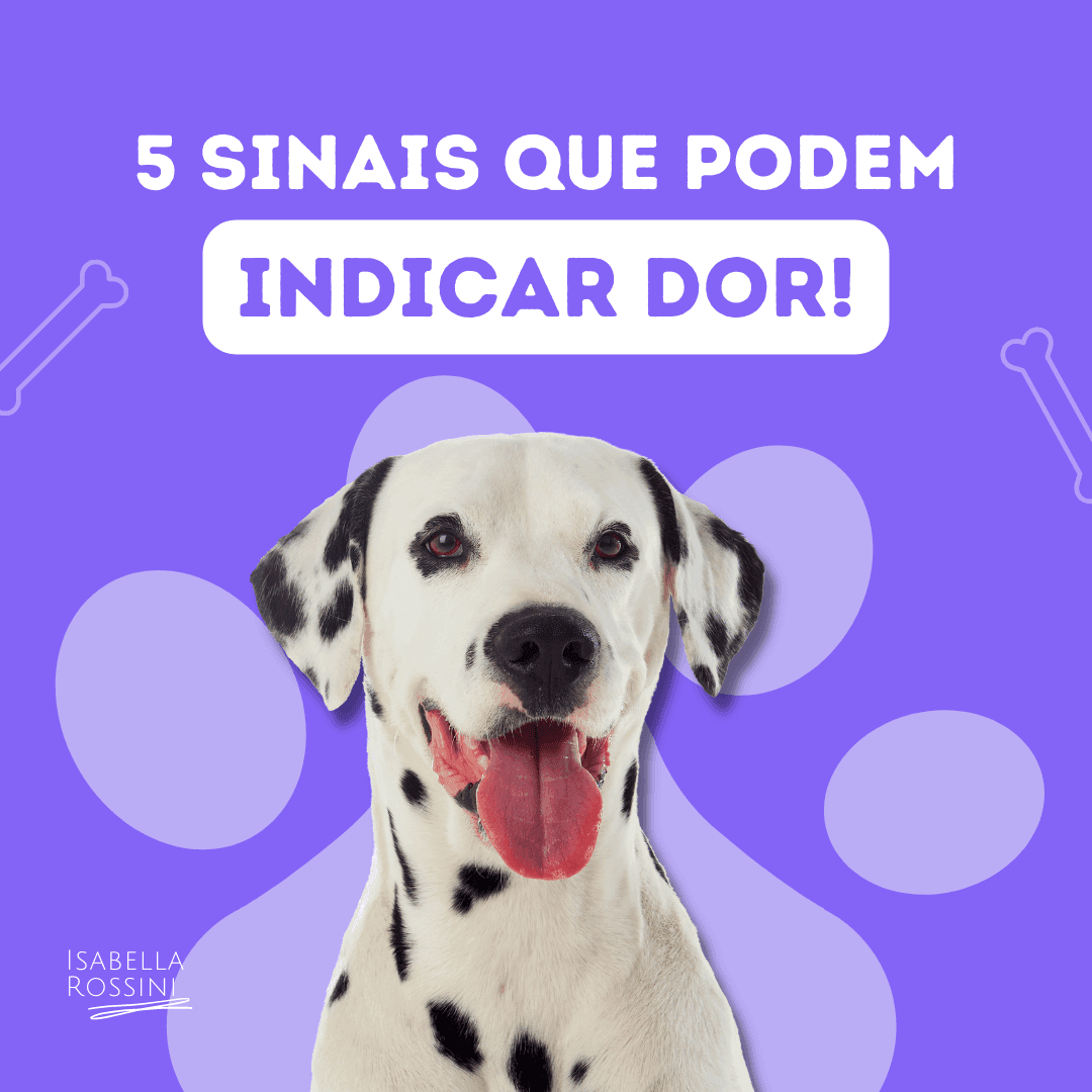 5 sinais que podem indicar dor