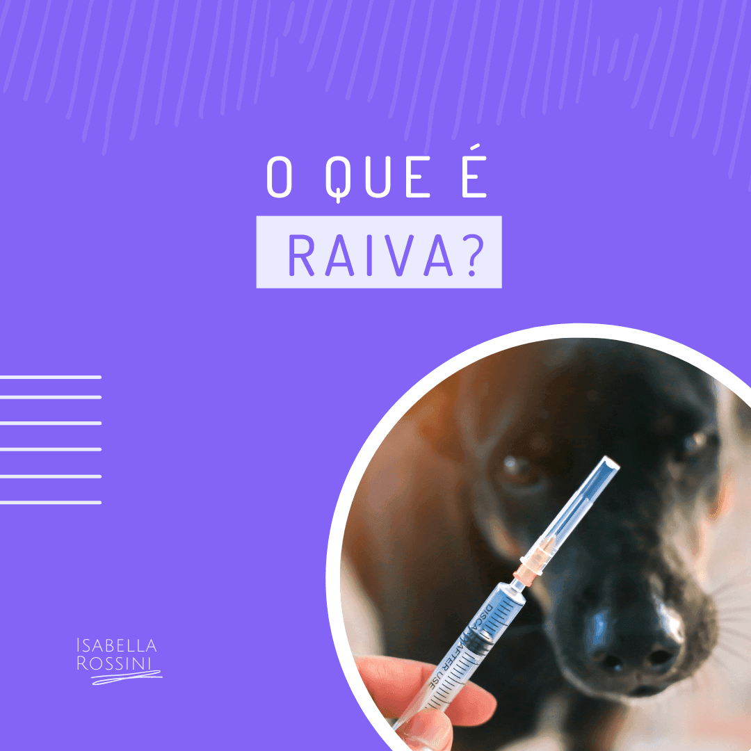 O que é raiva?