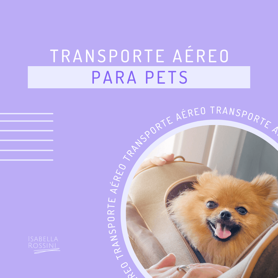 Como funciona o transporte aéreo para os pets?