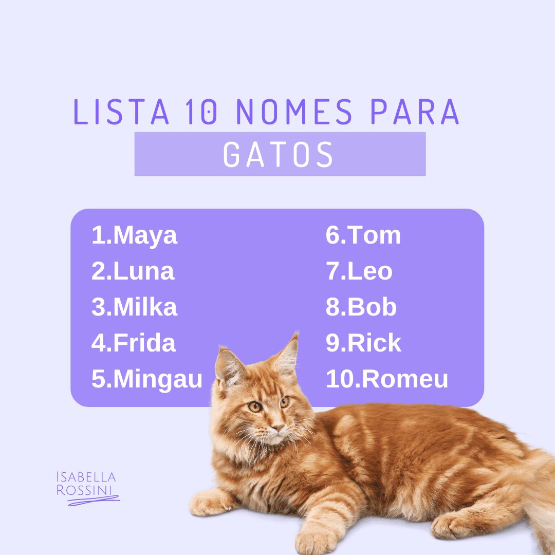Ideias de 10 nomes para gatos