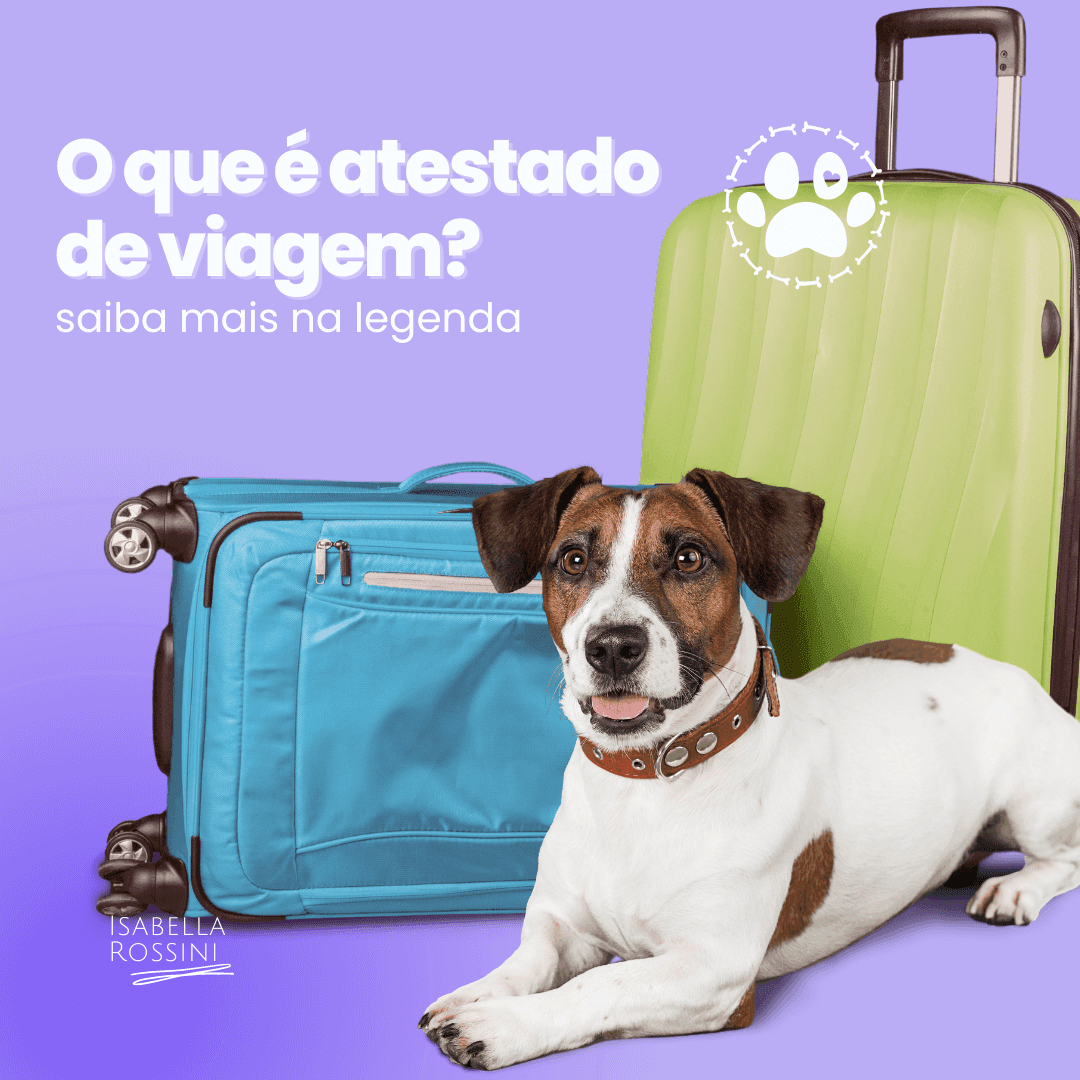 O que é atestado de viagem? Esteja preparado!