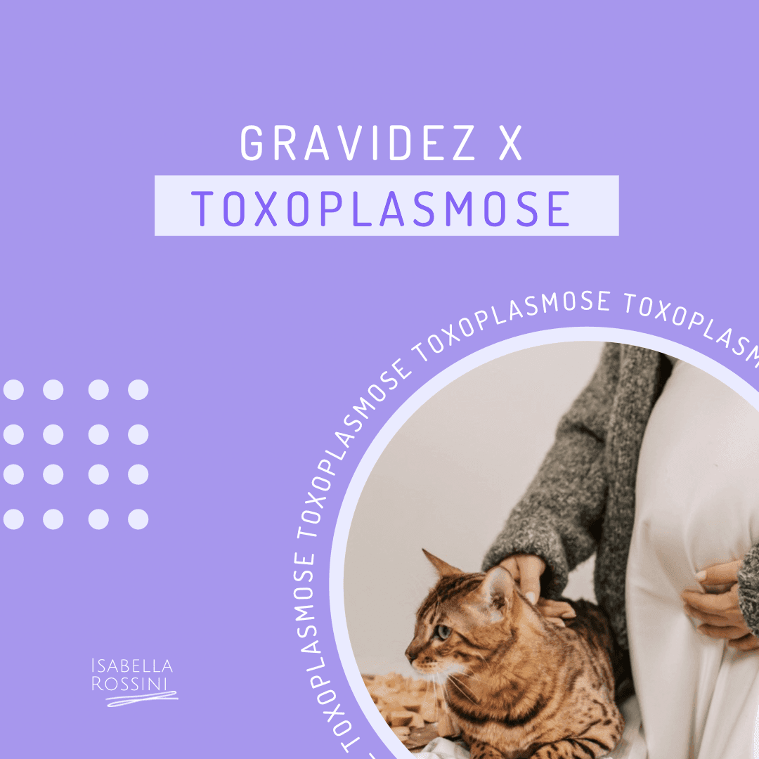 Toxoplasmose e gravidez, quais os riscos?