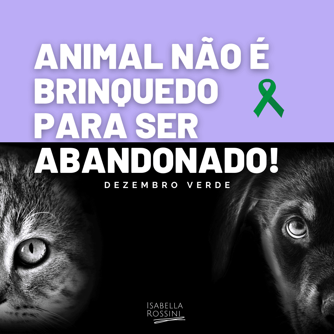 Dezembro Verde – Luta contra o abandono animal