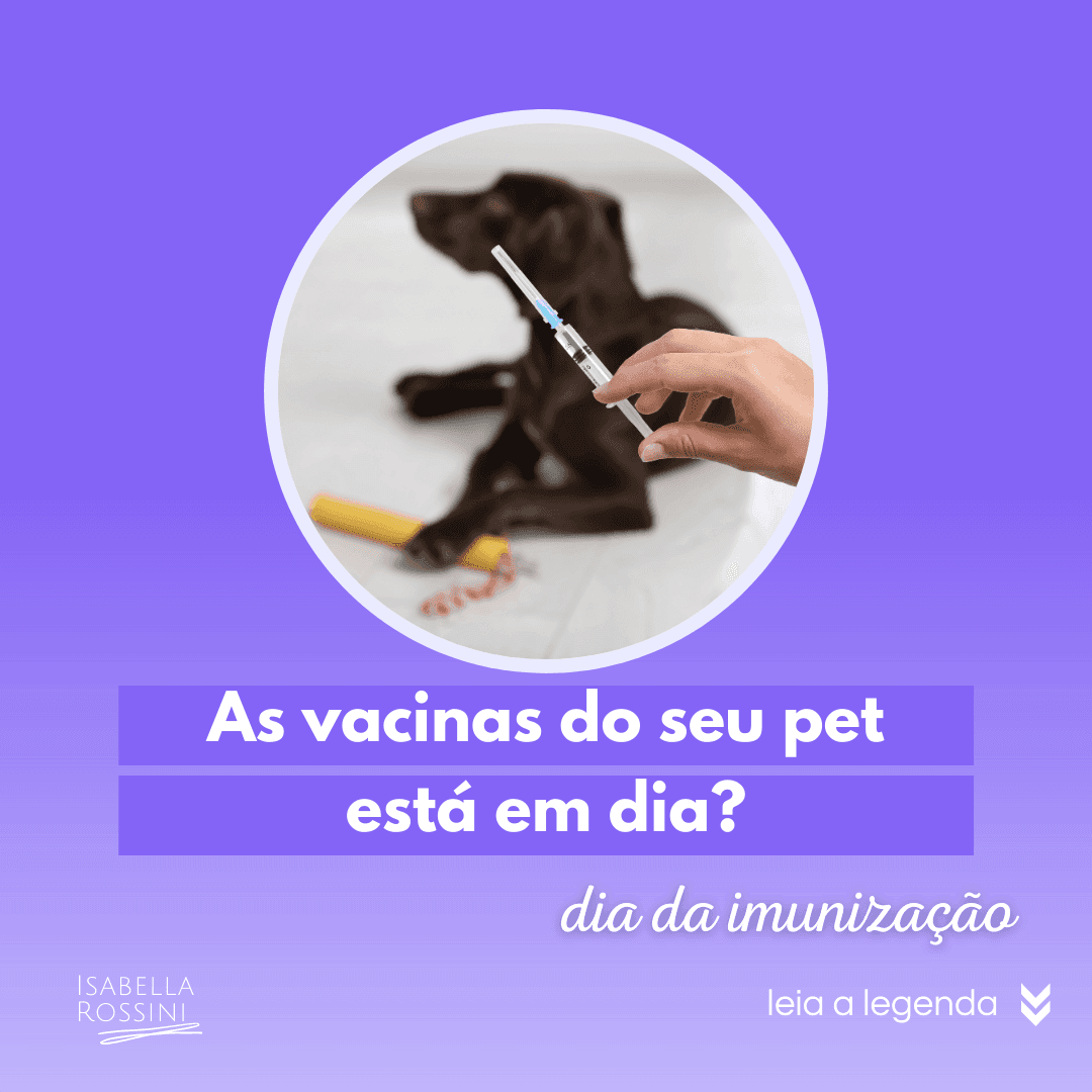 As vacinas do seu pet estão em dia?