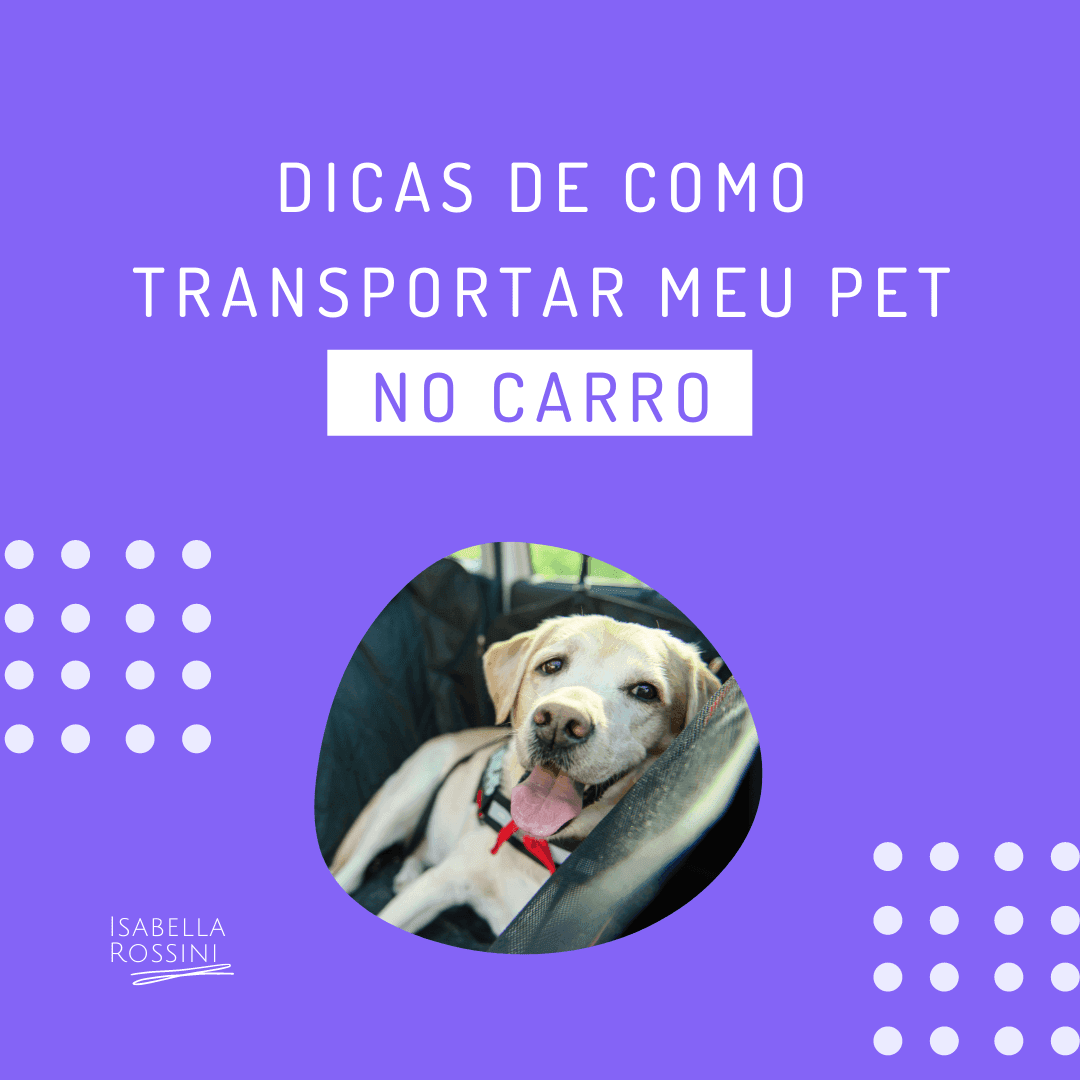 Como transportar meu pet no carro?