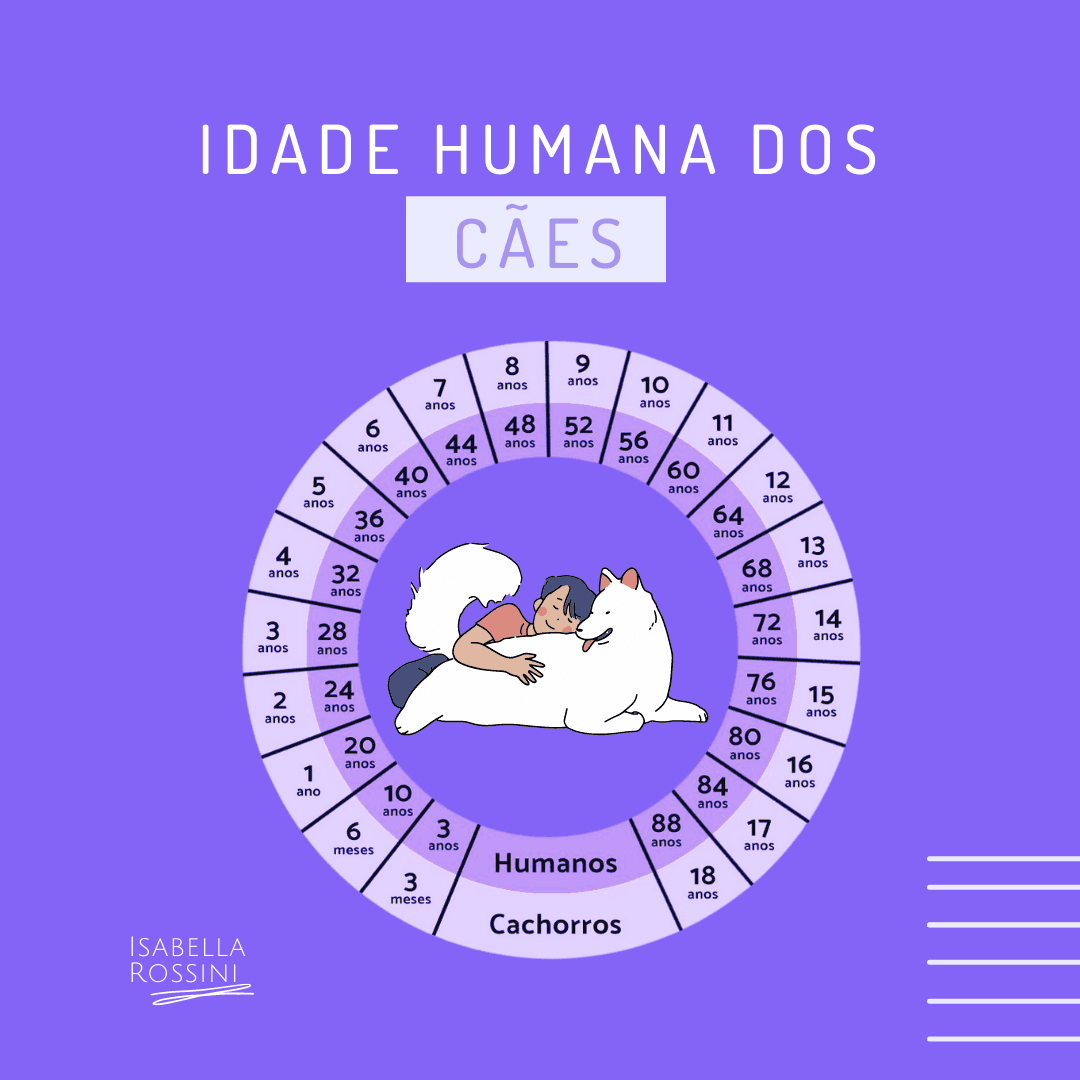 Idade humana dos cães