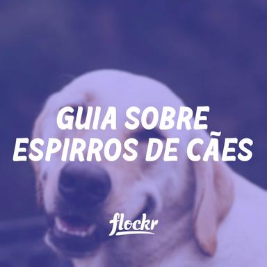 Guia sobre espirros de cães: Por que cães espirram, alergias e mais