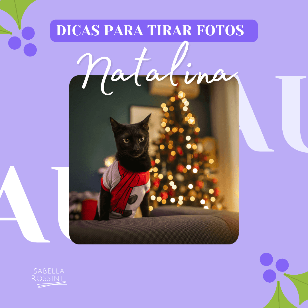 Dicas para tirar fotos natalinas do seu pet