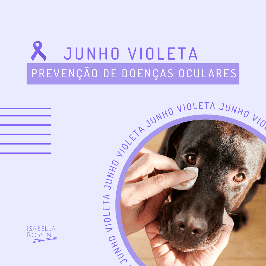 Junho Violeta