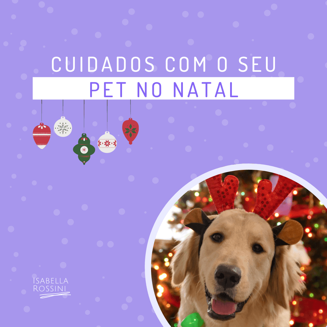 Cuidados com seu pet no natal