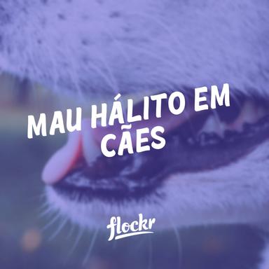 Mau Hálito em Cães? 7+ Soluções para o Hálito Ruim e Suas Causas