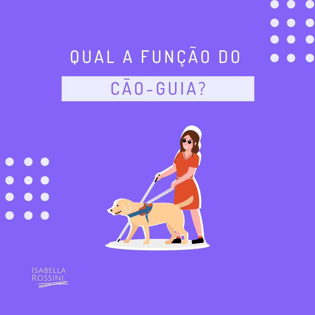 Qual a função do cão-guia?