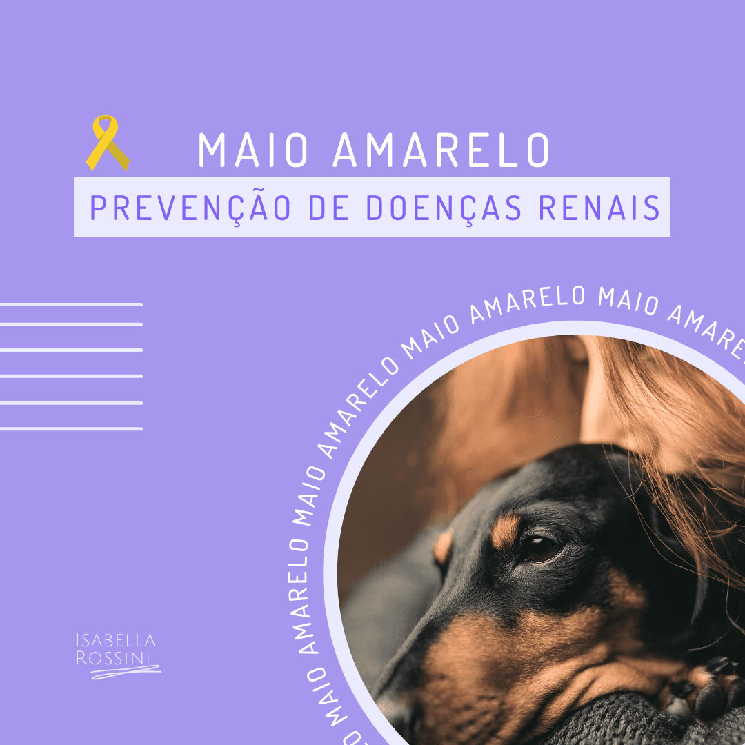 Maio amarelo – mês de prevenção de doenças renais