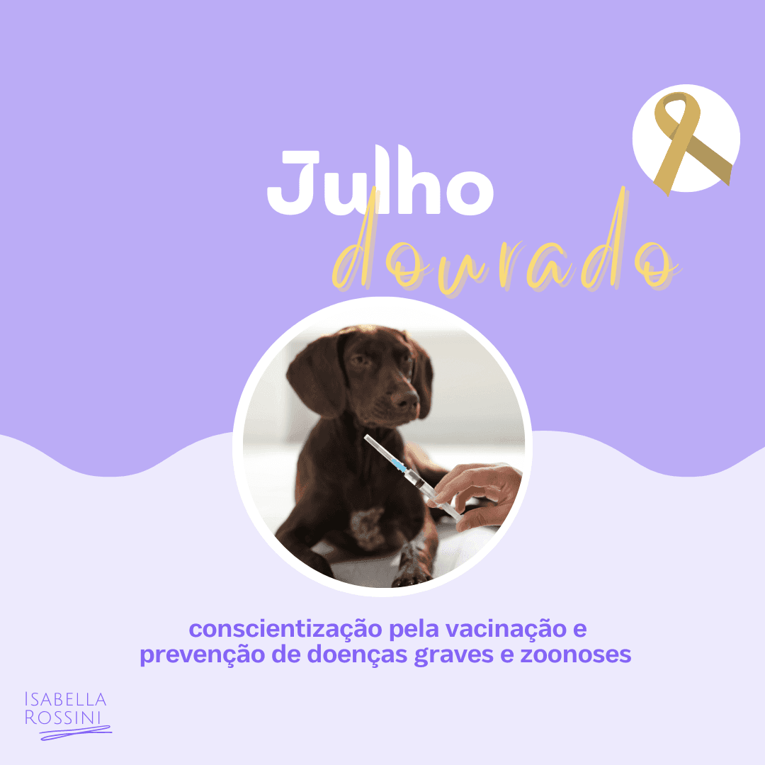 Julho dourado - conscientização da vacina e prevenção de zoonoses