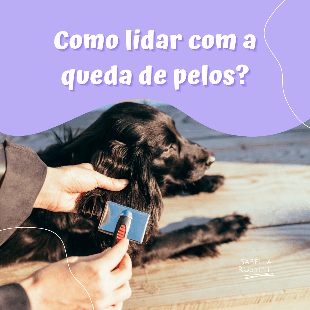 Como lidar com a queda de pelo?