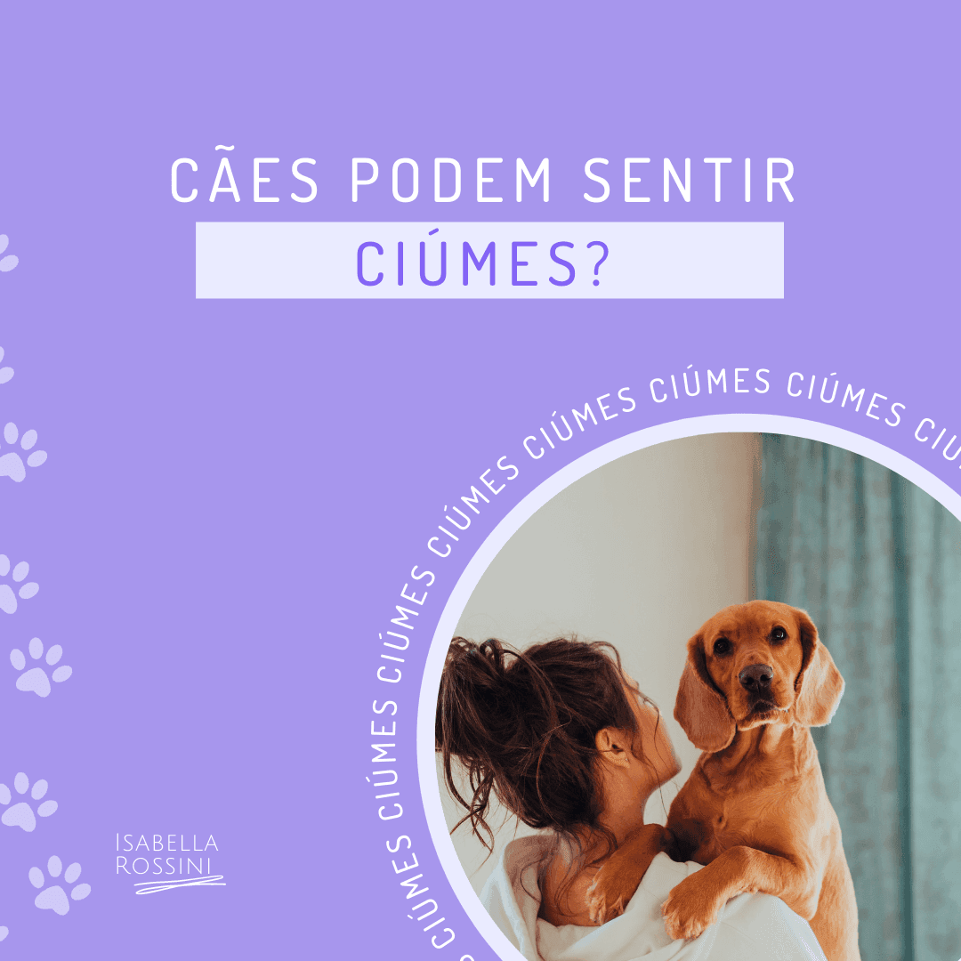 Seu cachorro pode sentir ciúmes?