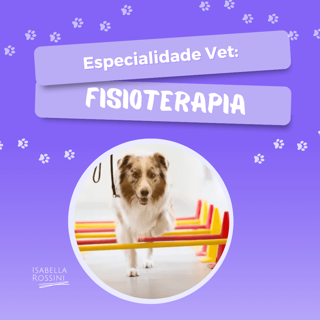 Especialidades: Fisioterapia Veterinária