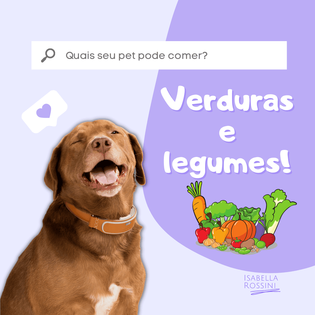 Legumes e verduras liberadas para cães