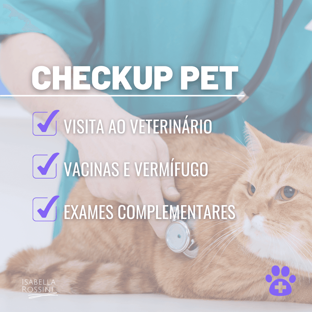 Checkup anual do pet. Saiba porque é importante!