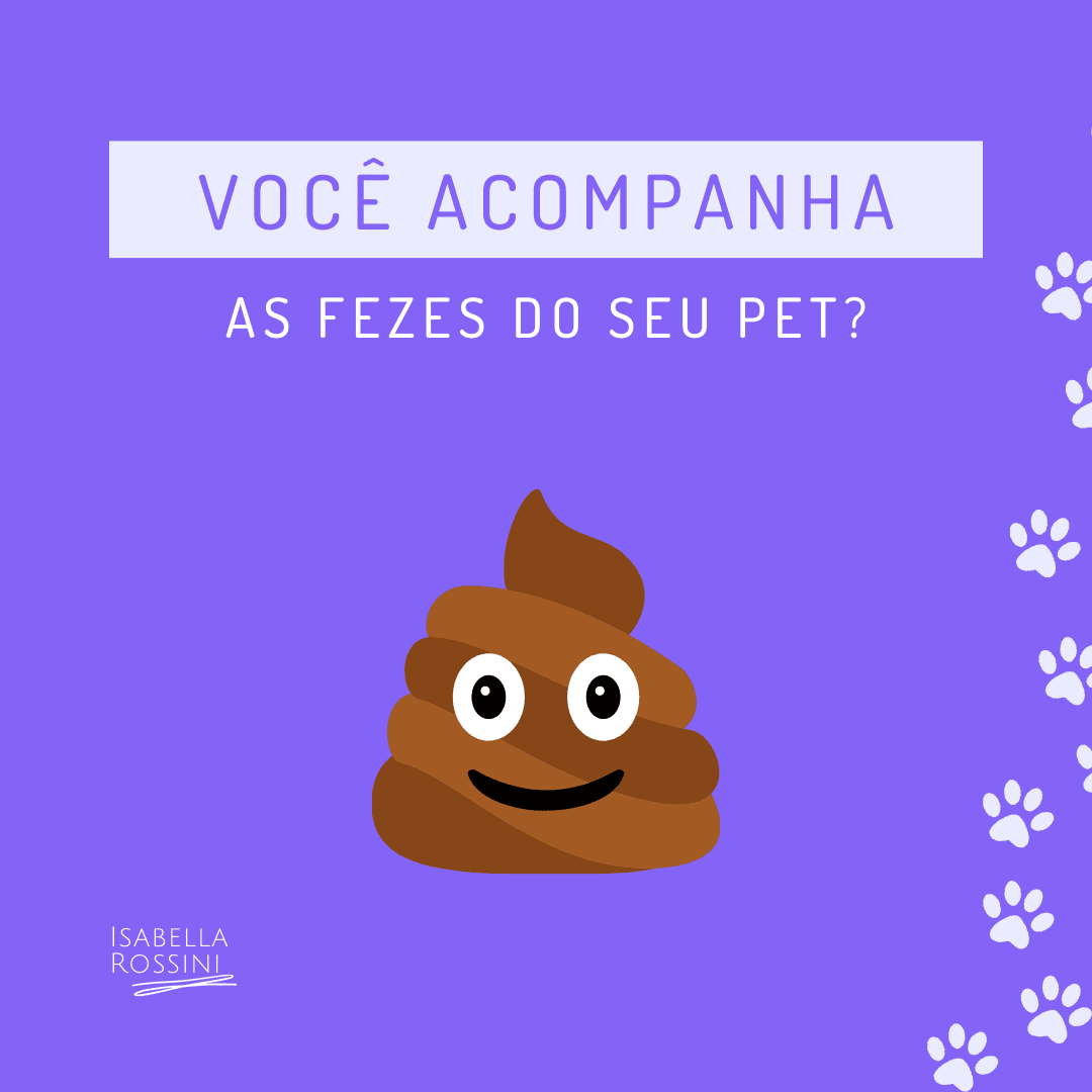 Você acompanha as fezes do seu pet?