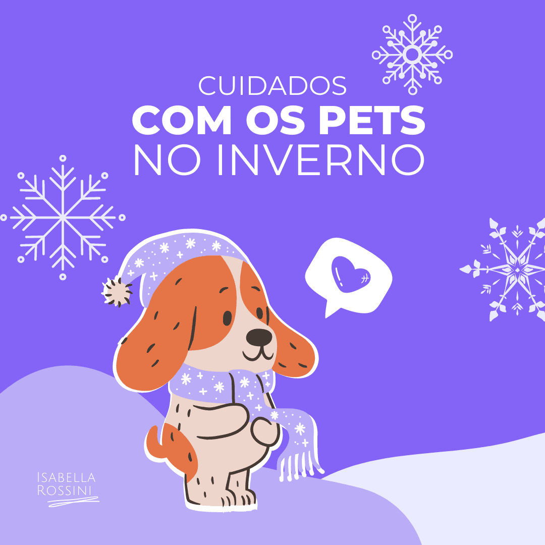 Dicas para cuidar do seu pet no inverno