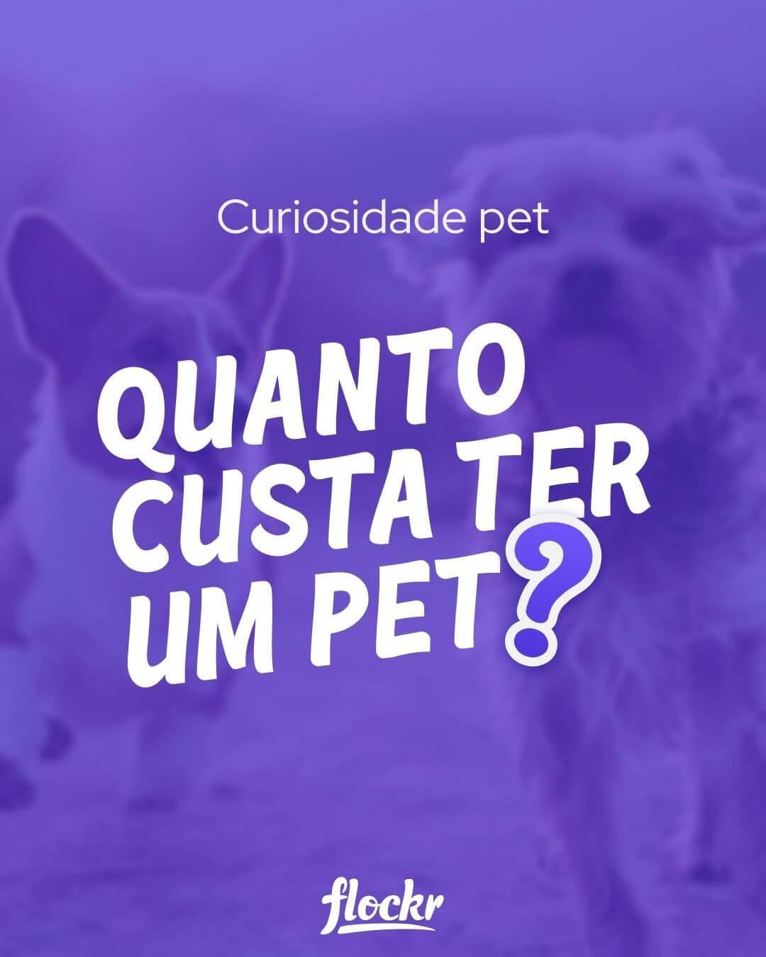 Quanto custa ter um pet