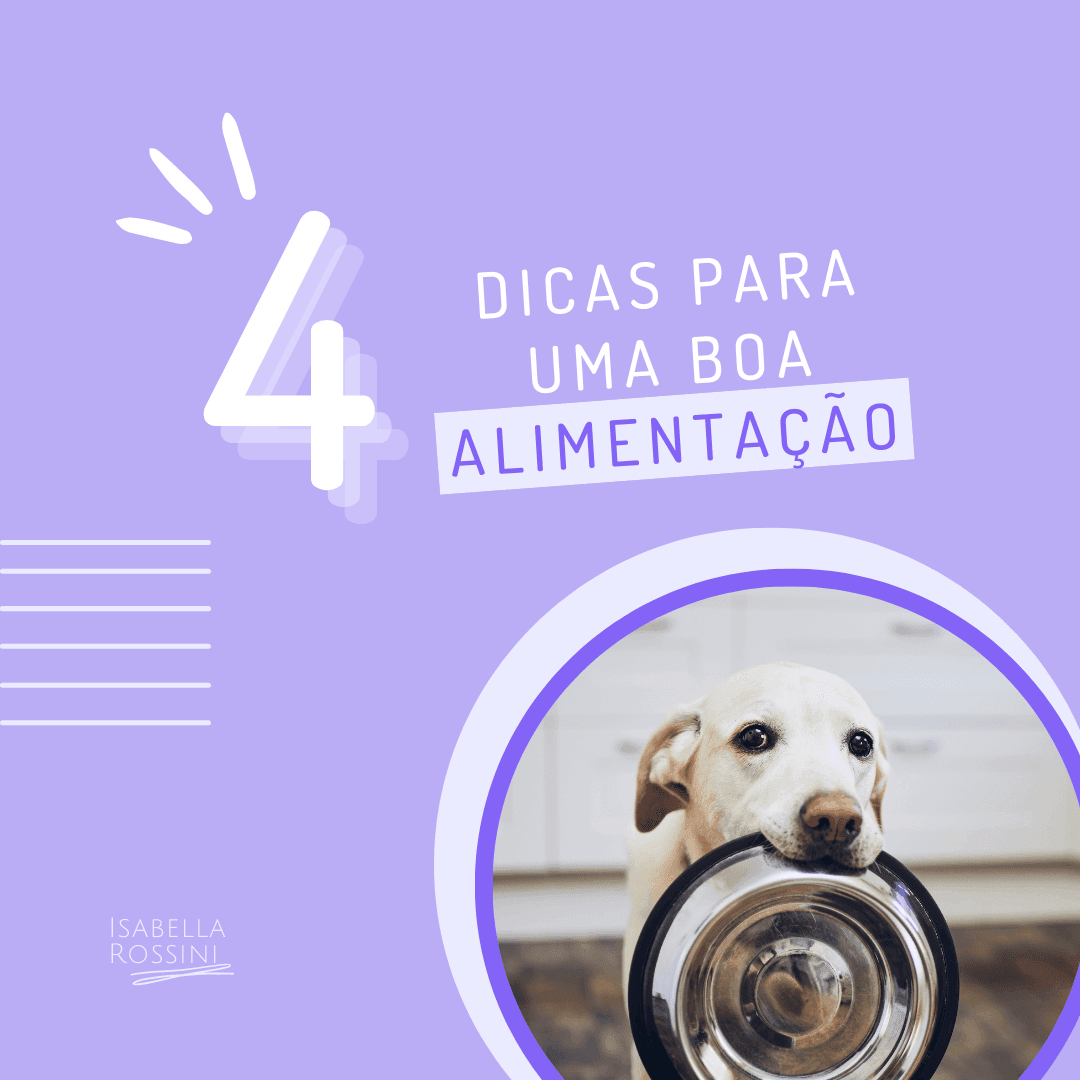 4 dicas para uma boa alimentação