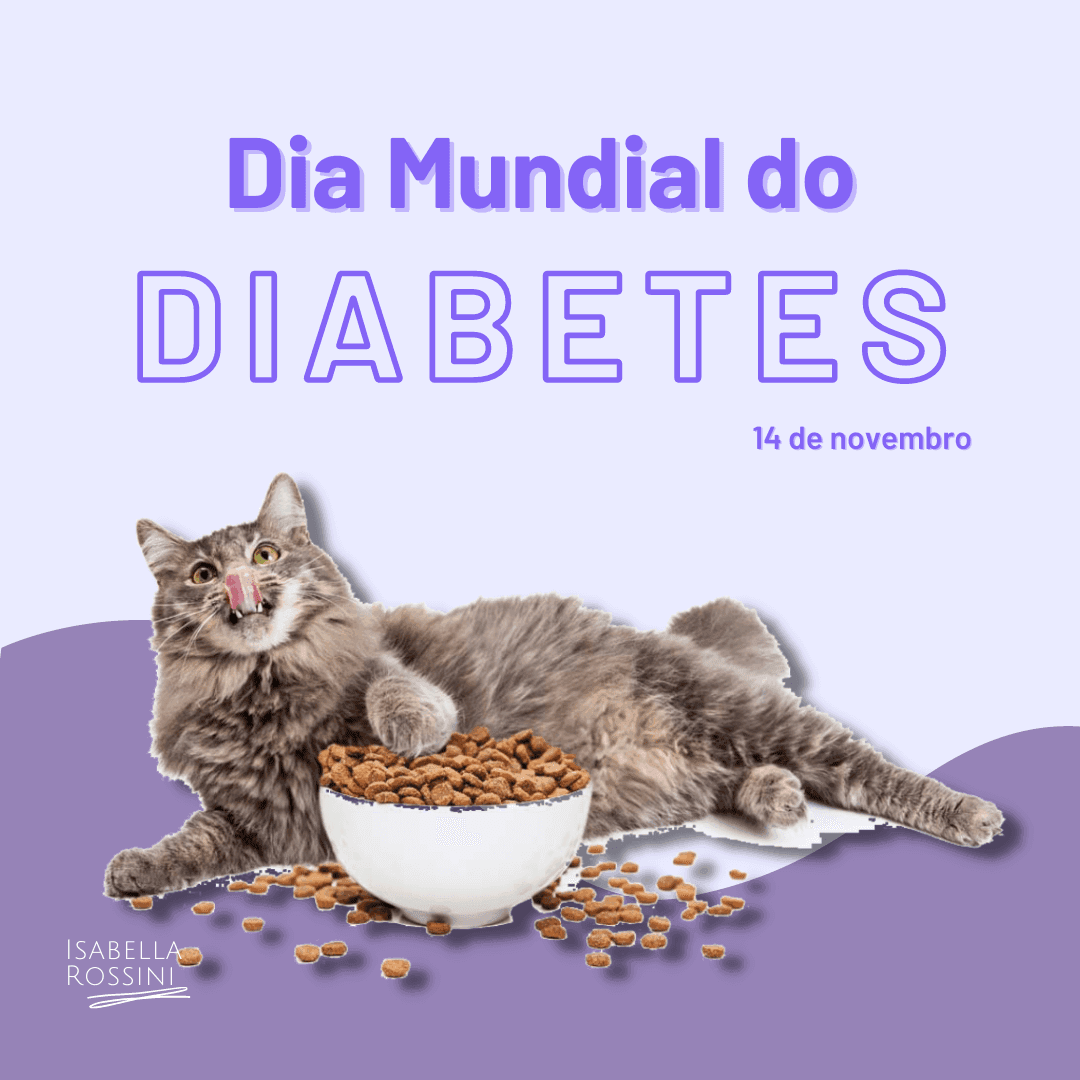 Dia Mundial do Combate a Diabetes