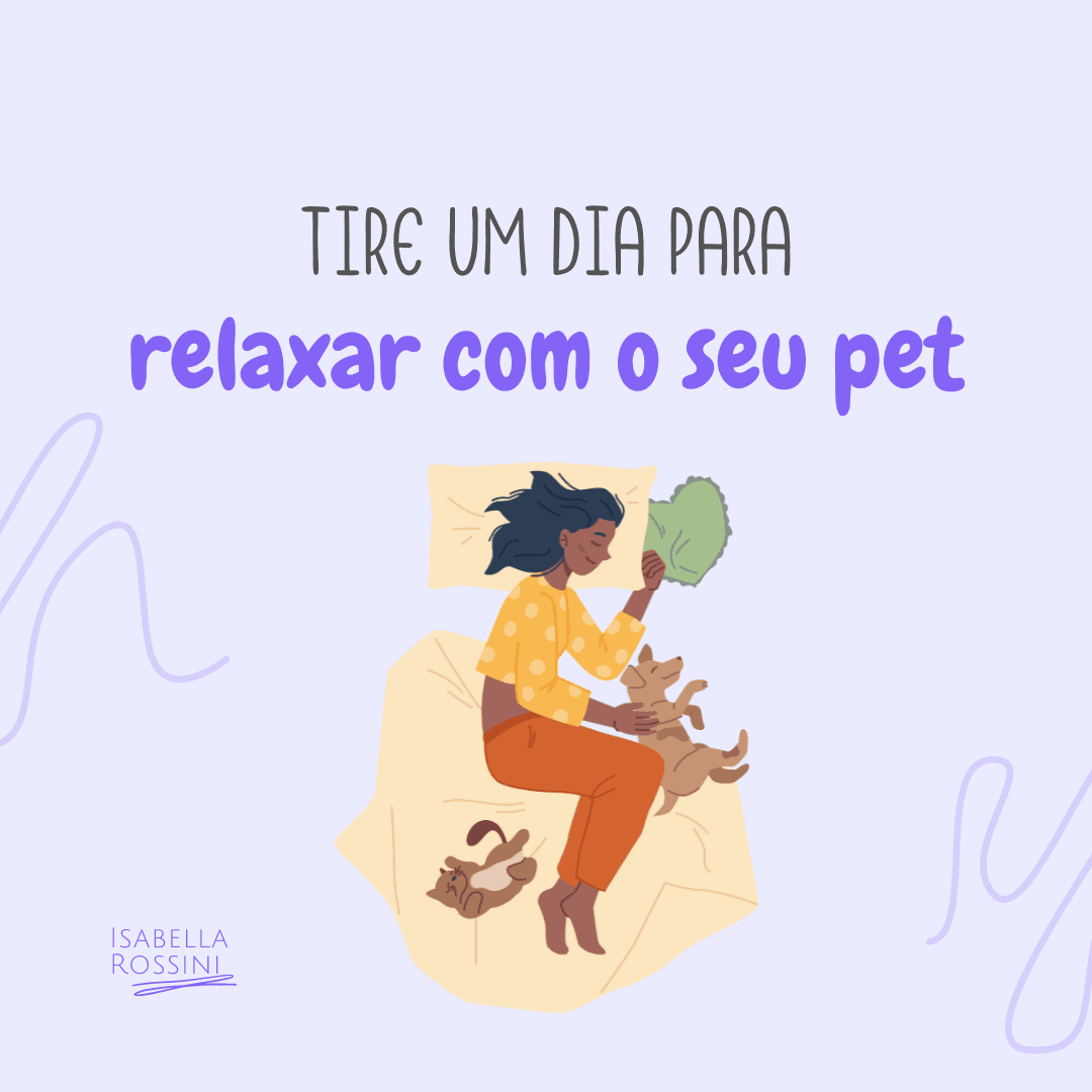 Como aproveitar a folga com o seu pet