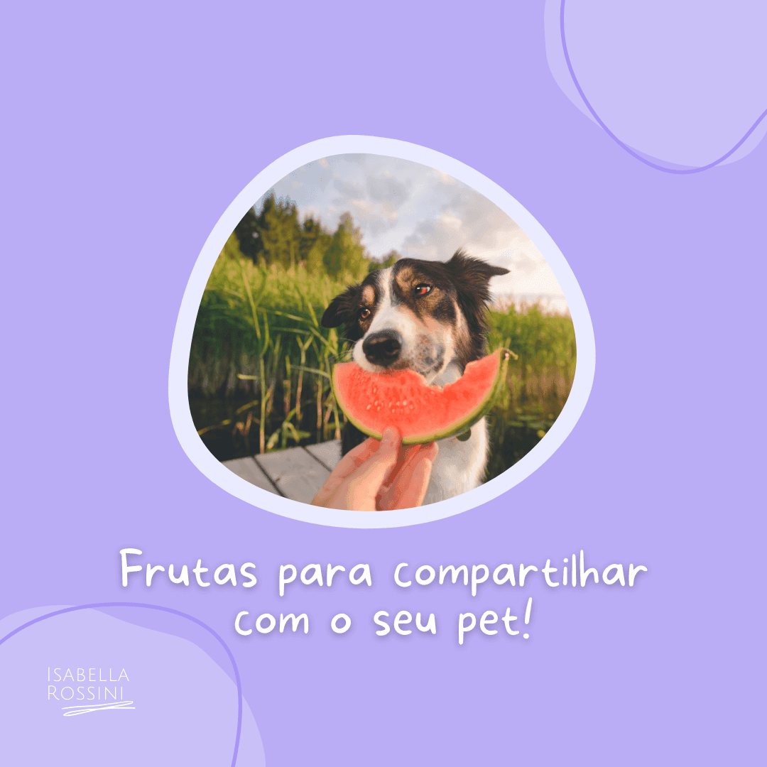 Frutas para compartilhar com o pet