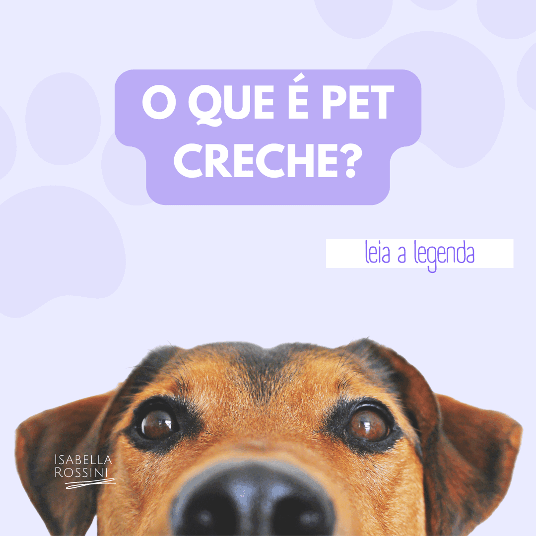 O que é pet creche?