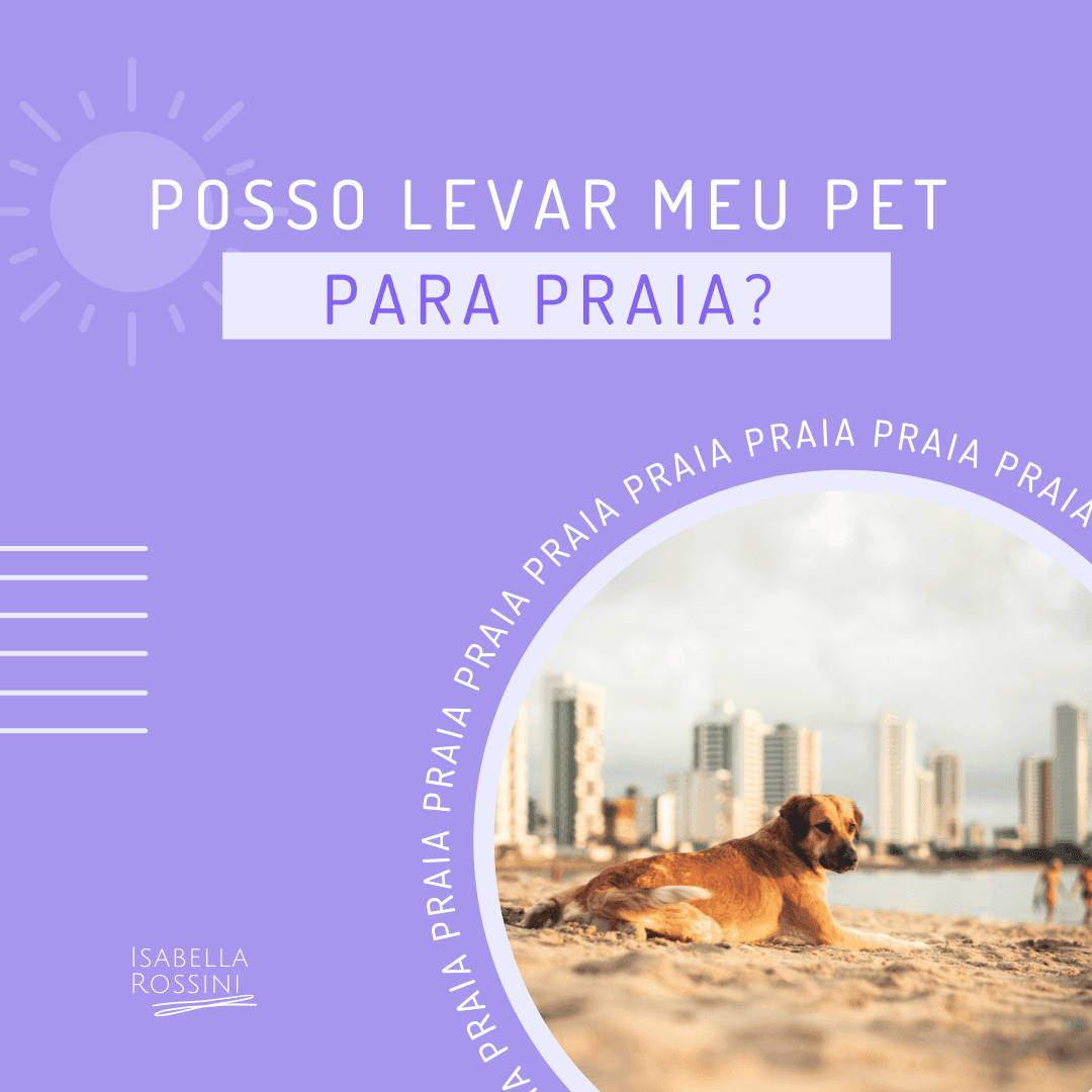 Posso levar meu pet para praia?