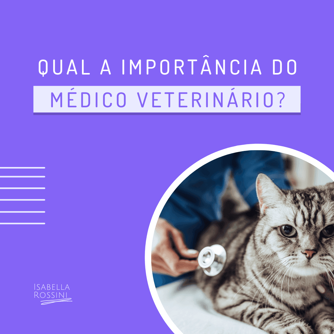 Qual a importância do médico veterinário?