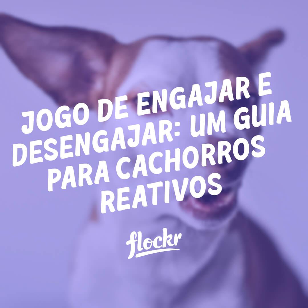 Jogo de Engajar e Desengajar: Um Guia para cachorros reativos