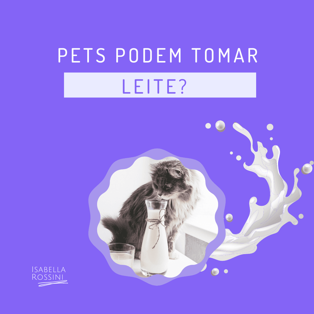 Pets podem tomar leite?