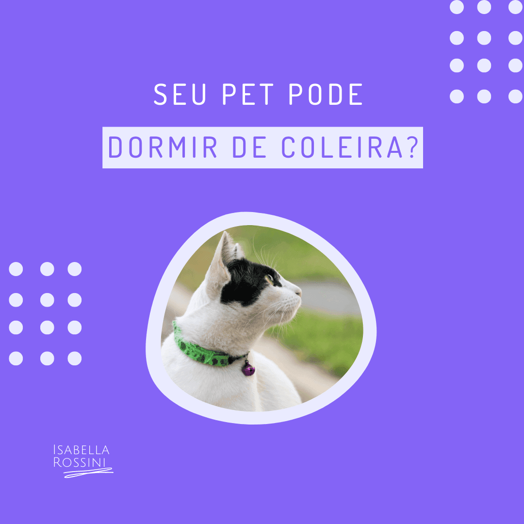 Meu pet pode dormir com a coleira?