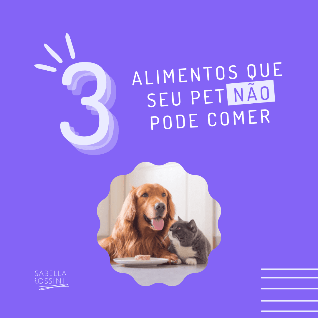 3 alimentos que seu pet NÃO pode comer de jeito nenhum!