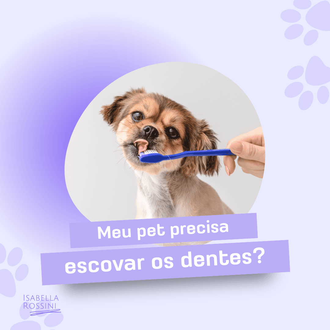 Os pets precisam escovar os dentes?