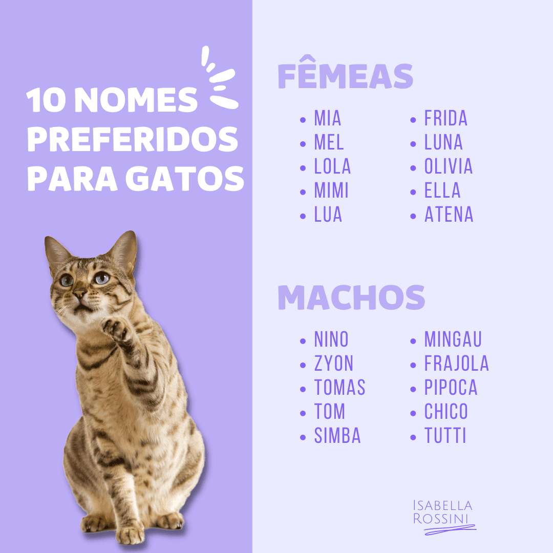 Qual o nome do seu pet?