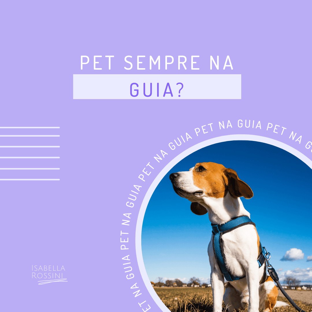 Por que devo manter meu pet sempre na guia?