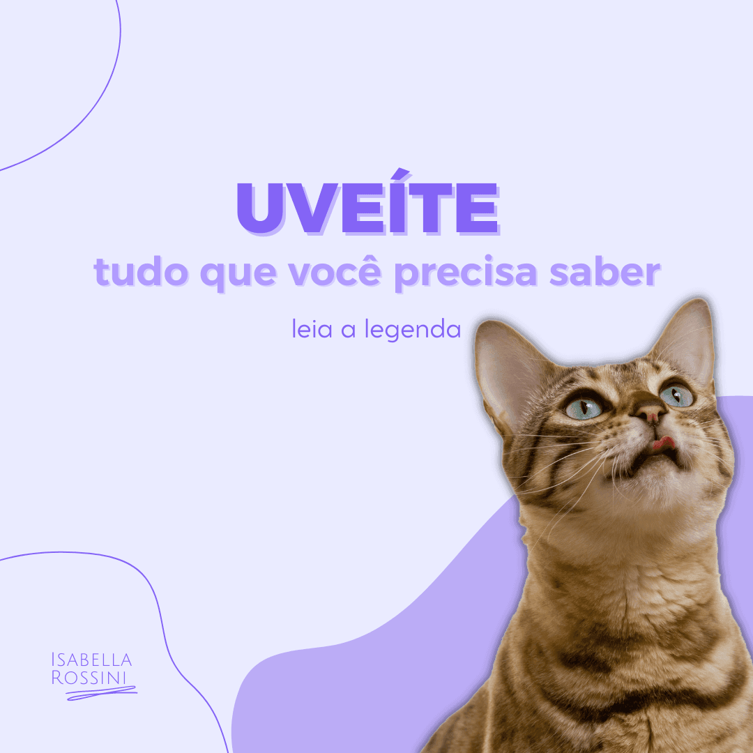 Tudo o que você precisa saber sobre uveíte