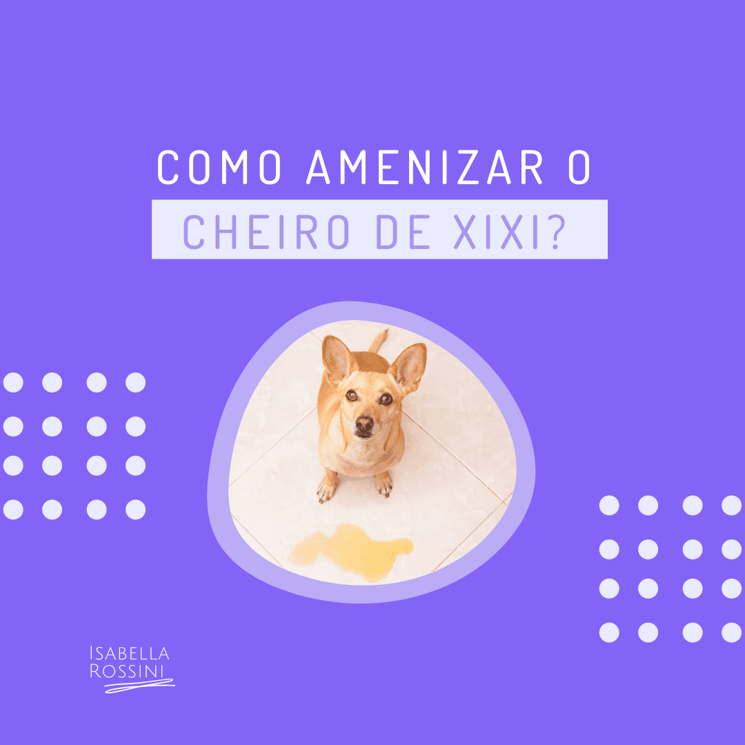 Como amenizar o cheiro de xixi?