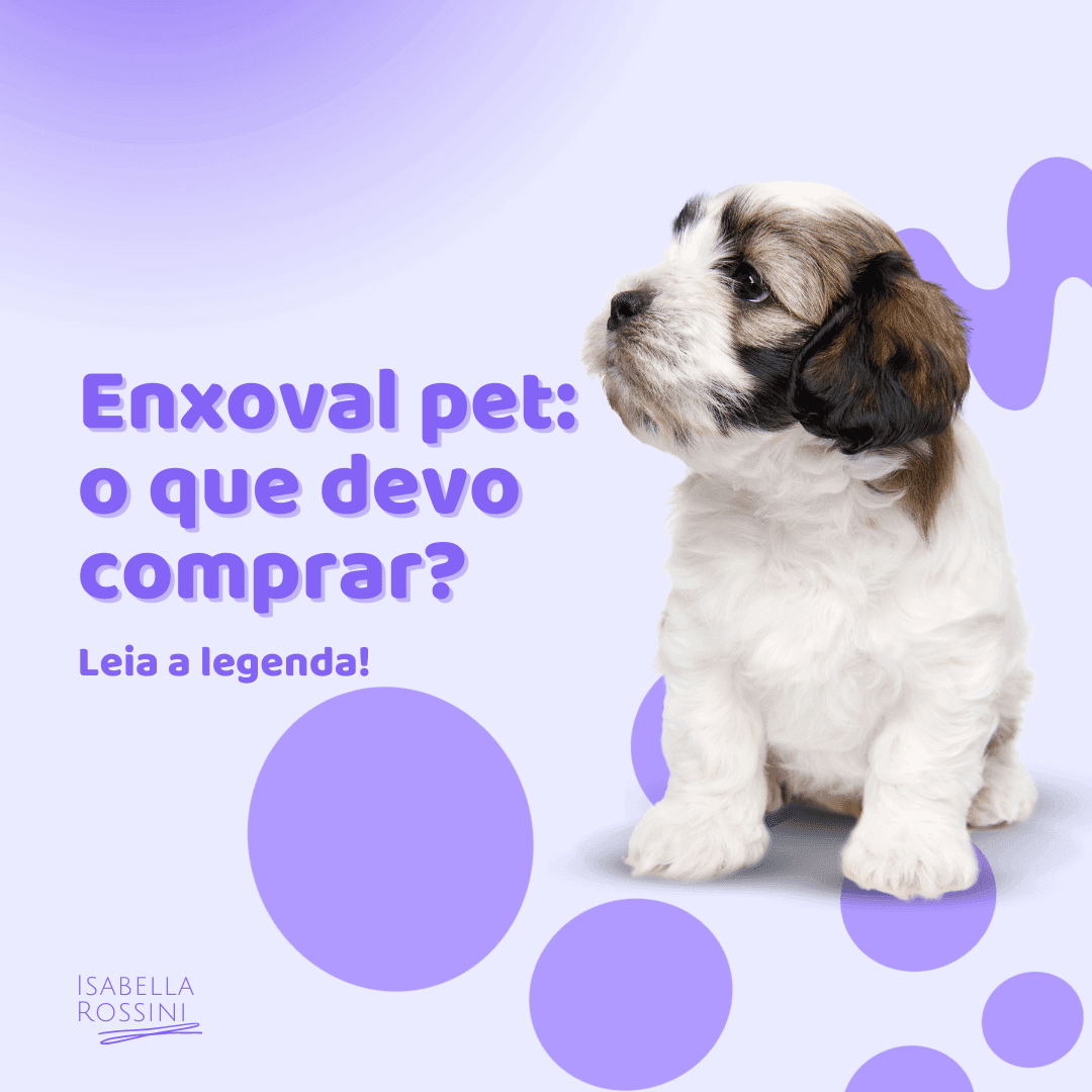 Enxoval pet: o que devo comprar?