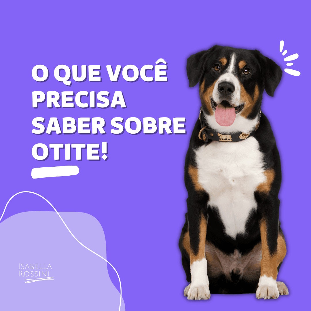 O que você precisa saber sobre otite?