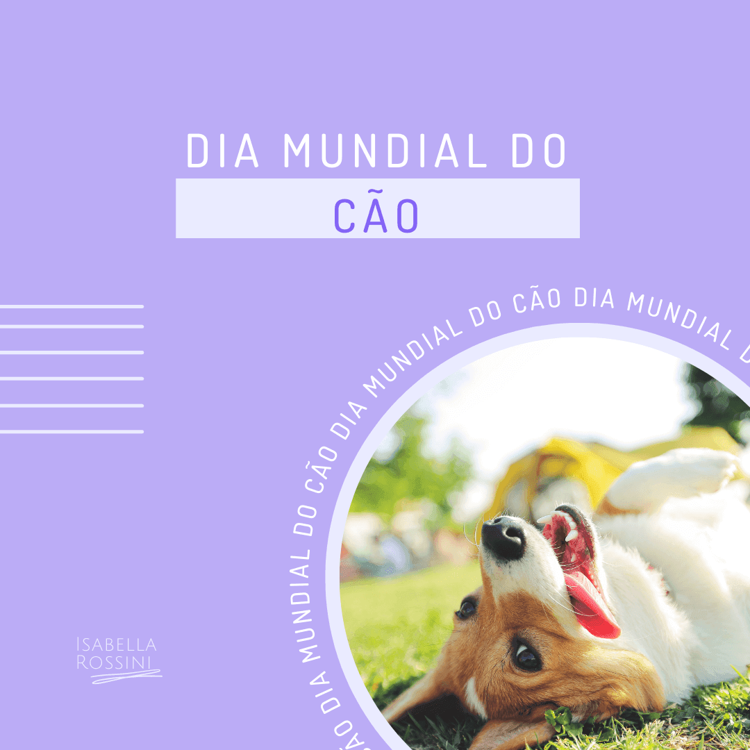 Dia Mundial do Cão (National Dog Day)