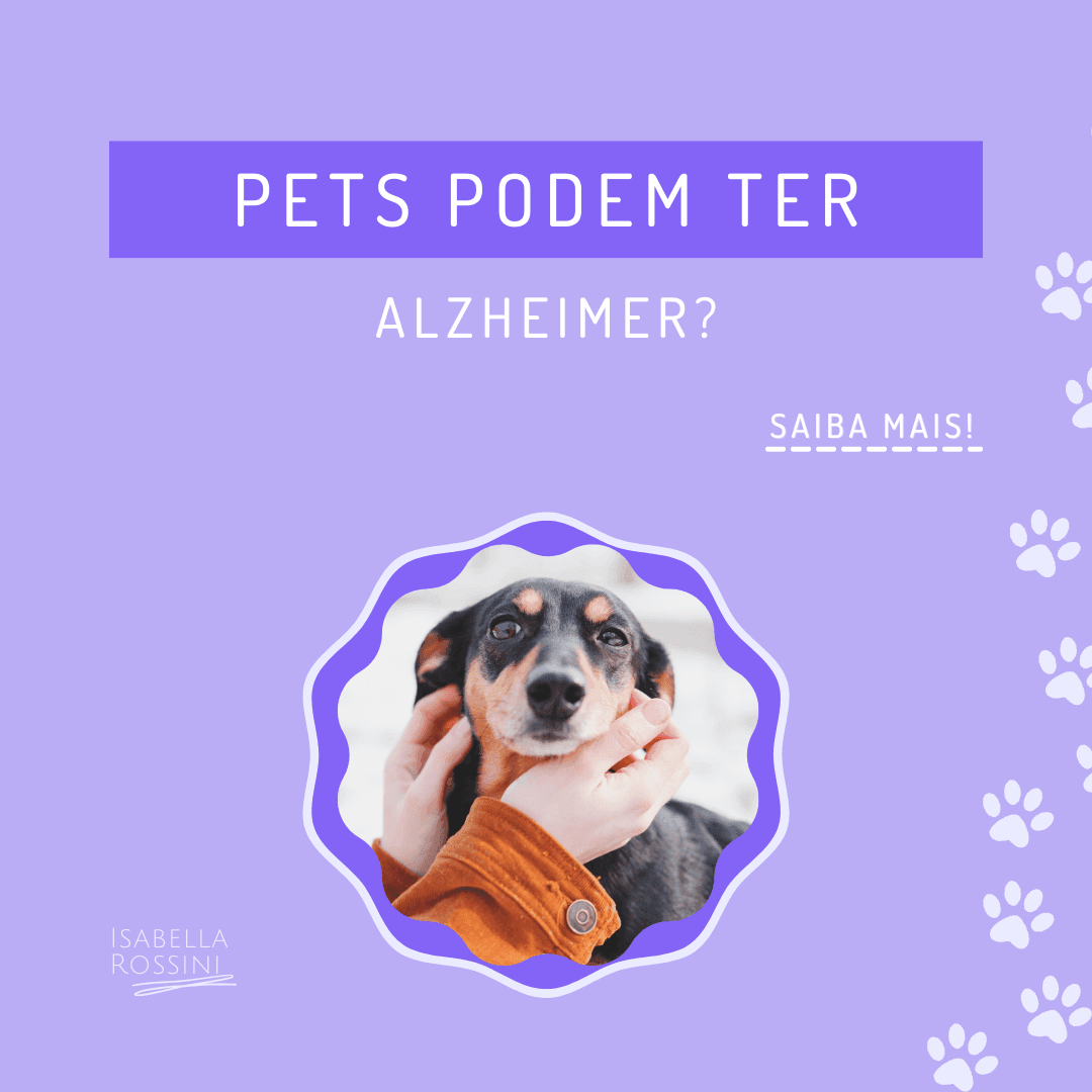 Pets podem ter Alzheimer?