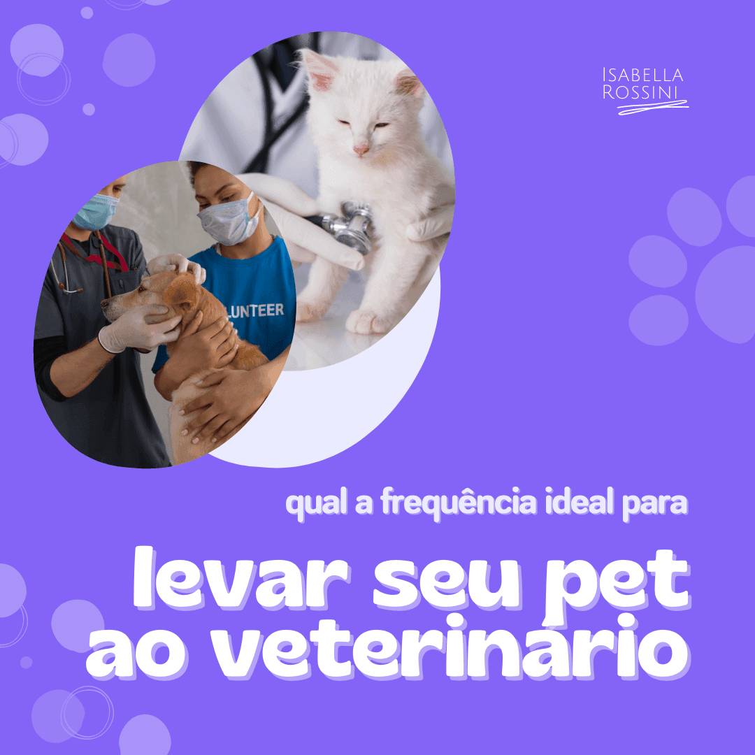 Quantas vezes você levou seu pet ao veterinário esse ano?