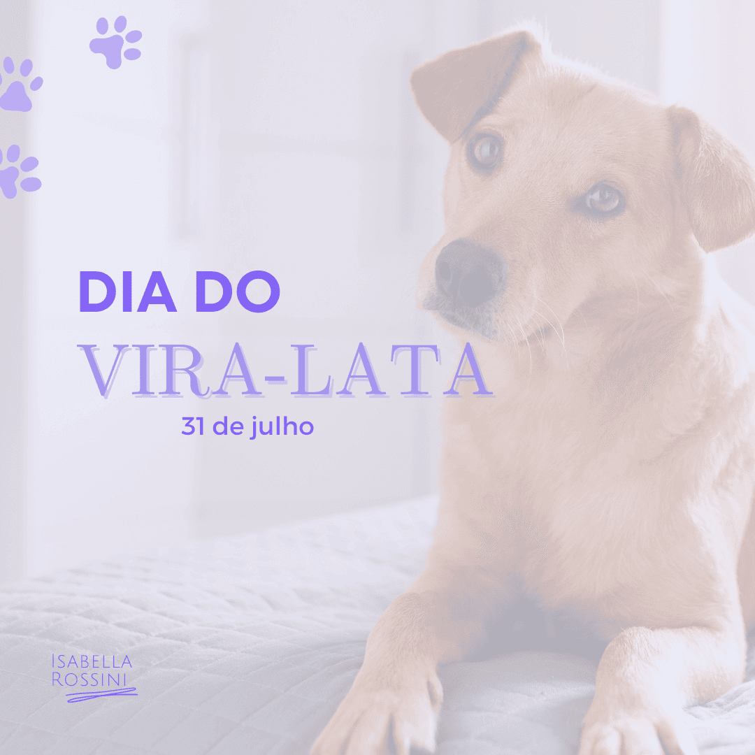 Dia do vira-lata (SRD)