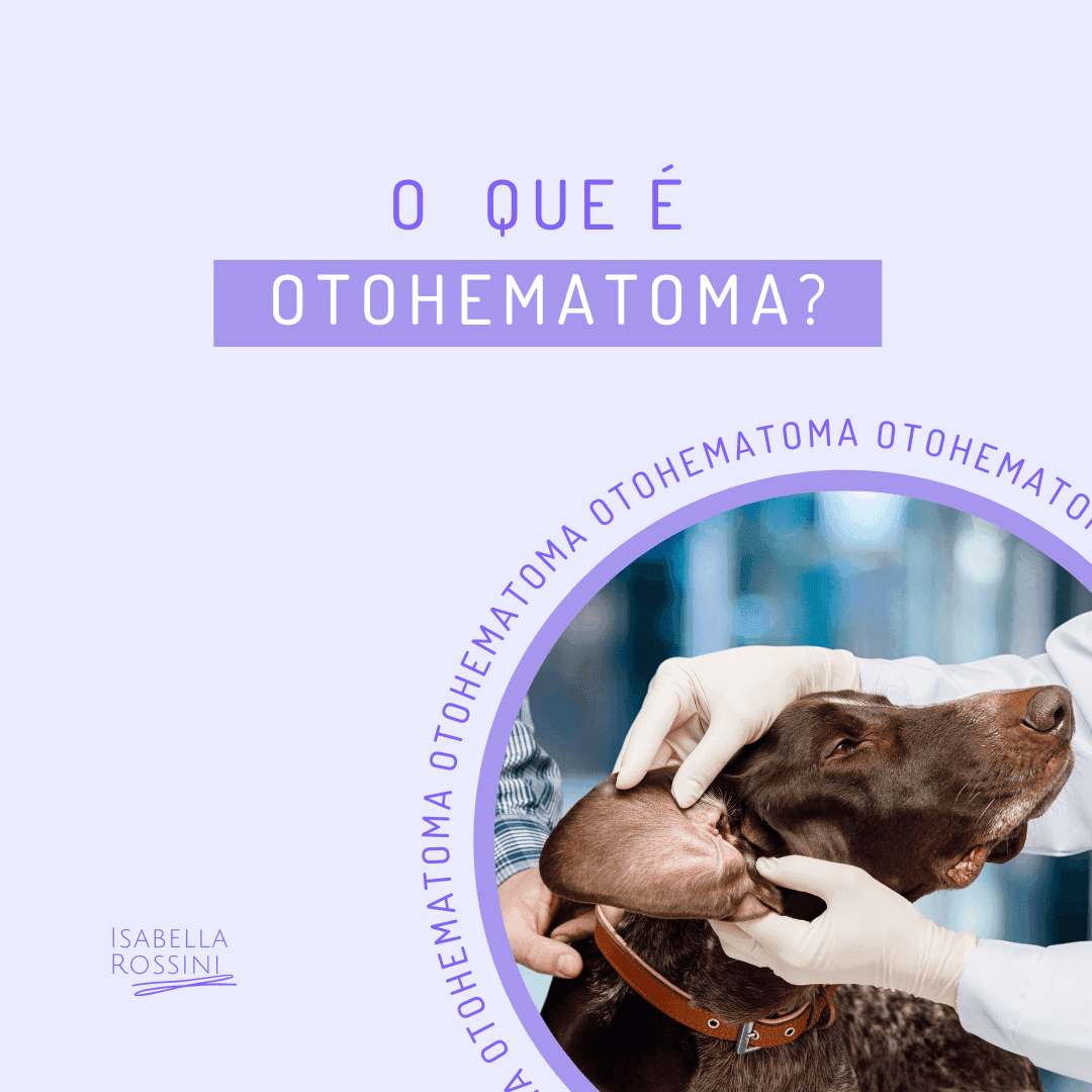 Você sabe o que é Otohematoma?